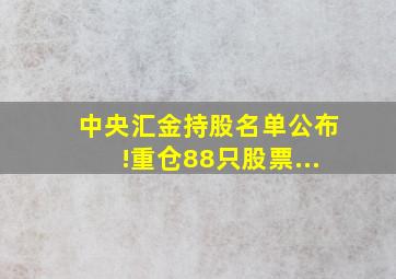 中央汇金持股名单公布!重仓88只股票...