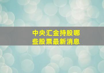 中央汇金持股哪些股票最新消息