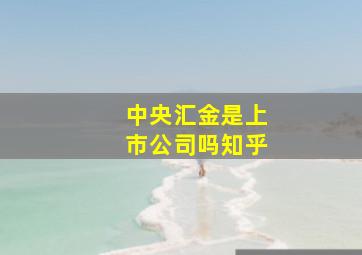 中央汇金是上市公司吗知乎