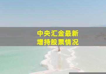 中央汇金最新增持股票情况