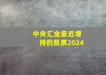 中央汇金最近增持的股票2024