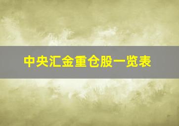 中央汇金重仓股一览表