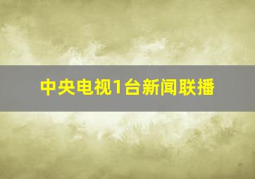 中央电视1台新闻联播