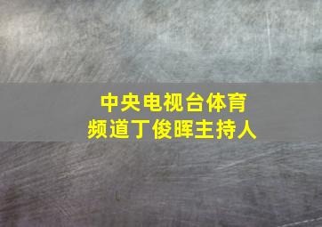 中央电视台体育频道丁俊晖主持人