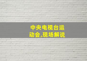 中央电视台运动会,现场解说