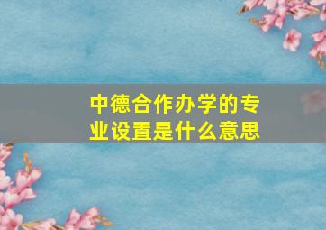 中德合作办学的专业设置是什么意思