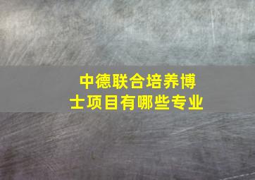 中德联合培养博士项目有哪些专业