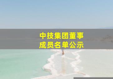 中技集团董事成员名单公示