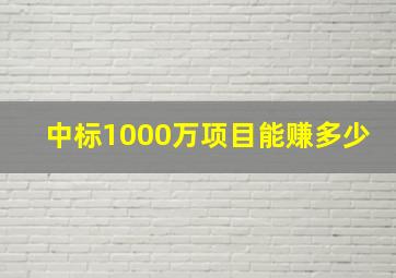 中标1000万项目能赚多少