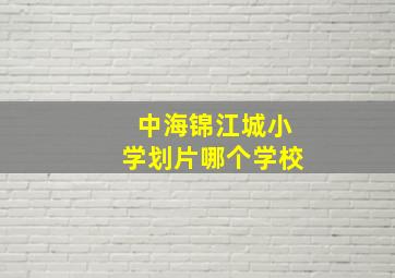 中海锦江城小学划片哪个学校