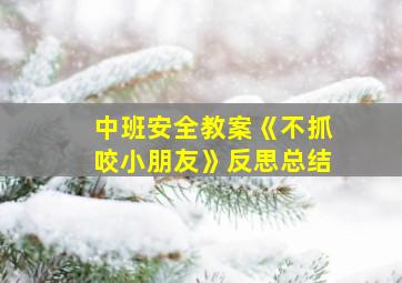 中班安全教案《不抓咬小朋友》反思总结