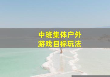 中班集体户外游戏目标玩法