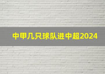 中甲几只球队进中超2024