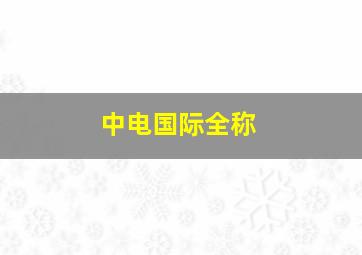 中电国际全称