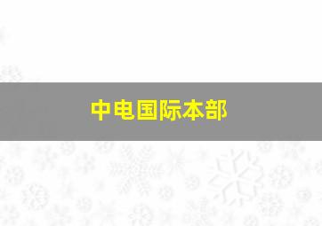 中电国际本部