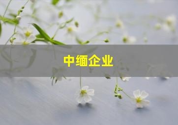 中缅企业