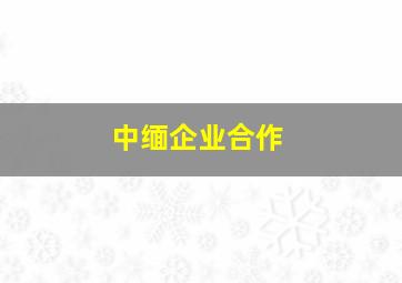 中缅企业合作