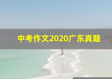 中考作文2020广东真题