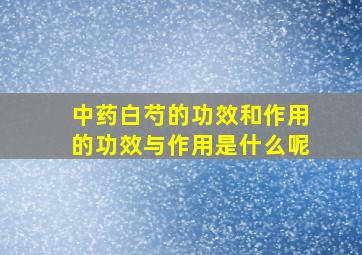 中药白芍的功效和作用的功效与作用是什么呢