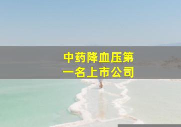 中药降血压第一名上市公司