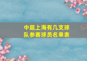 中超上海有几支球队参赛球员名单表