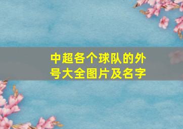 中超各个球队的外号大全图片及名字