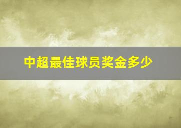 中超最佳球员奖金多少