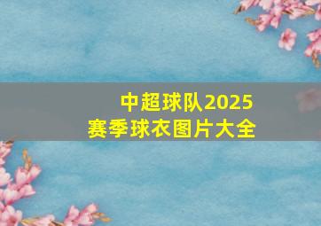 中超球队2025赛季球衣图片大全