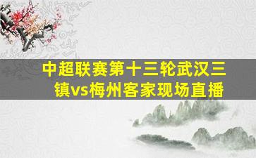 中超联赛第十三轮武汉三镇vs梅州客家现场直播