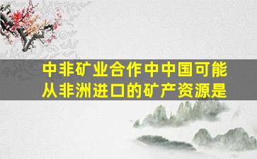 中非矿业合作中中国可能从非洲进口的矿产资源是