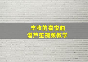 丰收的喜悦曲谱芦笙视频教学