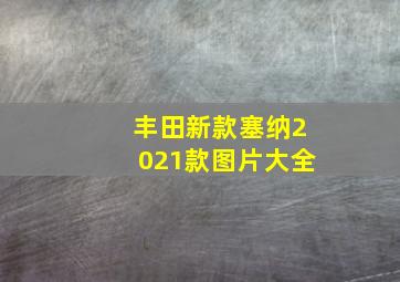 丰田新款塞纳2021款图片大全