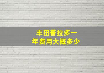 丰田普拉多一年费用大概多少