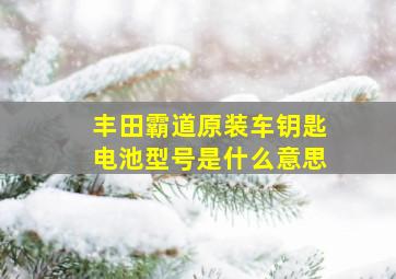 丰田霸道原装车钥匙电池型号是什么意思