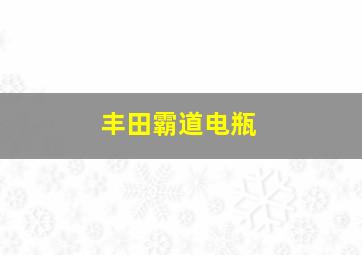 丰田霸道电瓶