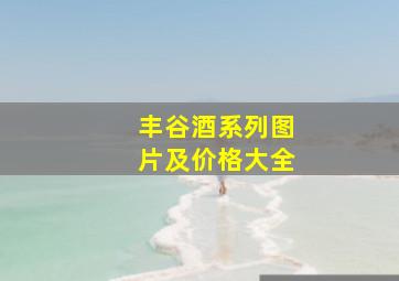 丰谷酒系列图片及价格大全