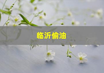 临沂偷油