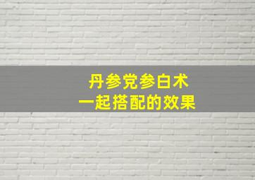 丹参党参白术一起搭配的效果