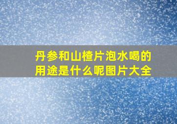 丹参和山楂片泡水喝的用途是什么呢图片大全