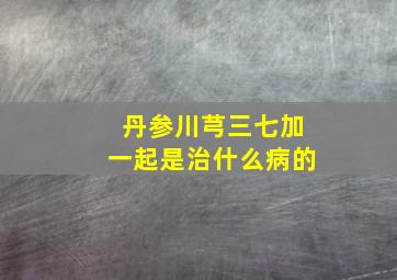 丹参川芎三七加一起是治什么病的