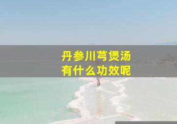 丹参川芎煲汤有什么功效呢