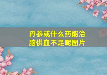 丹参或什么药能治脑供血不足呢图片