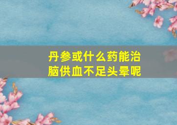 丹参或什么药能治脑供血不足头晕呢