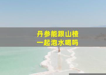 丹参能跟山楂一起泡水喝吗