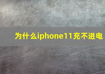 为什么iphone11充不进电