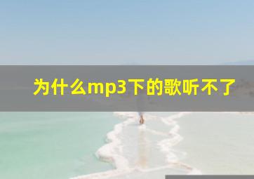 为什么mp3下的歌听不了