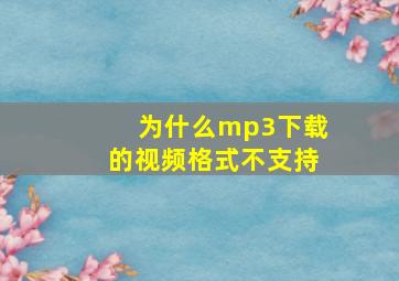 为什么mp3下载的视频格式不支持