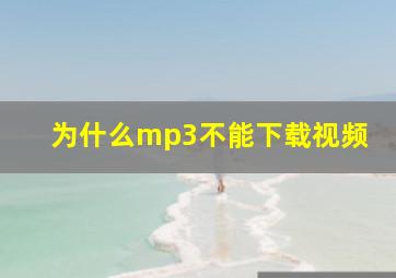 为什么mp3不能下载视频