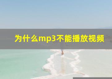 为什么mp3不能播放视频