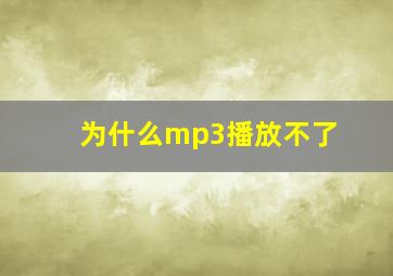 为什么mp3播放不了